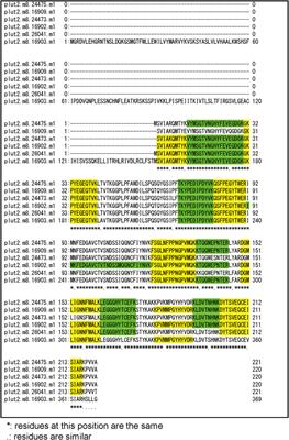 Coexistence of nonfluorescent chromoproteins and fluorescent proteins in massive Porites spp. corals manifesting a pink pigmentation response